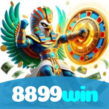 8899win visual