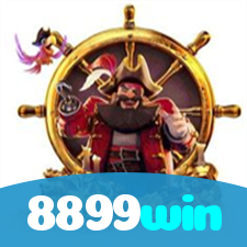 8899win visual