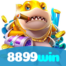 8899win visual