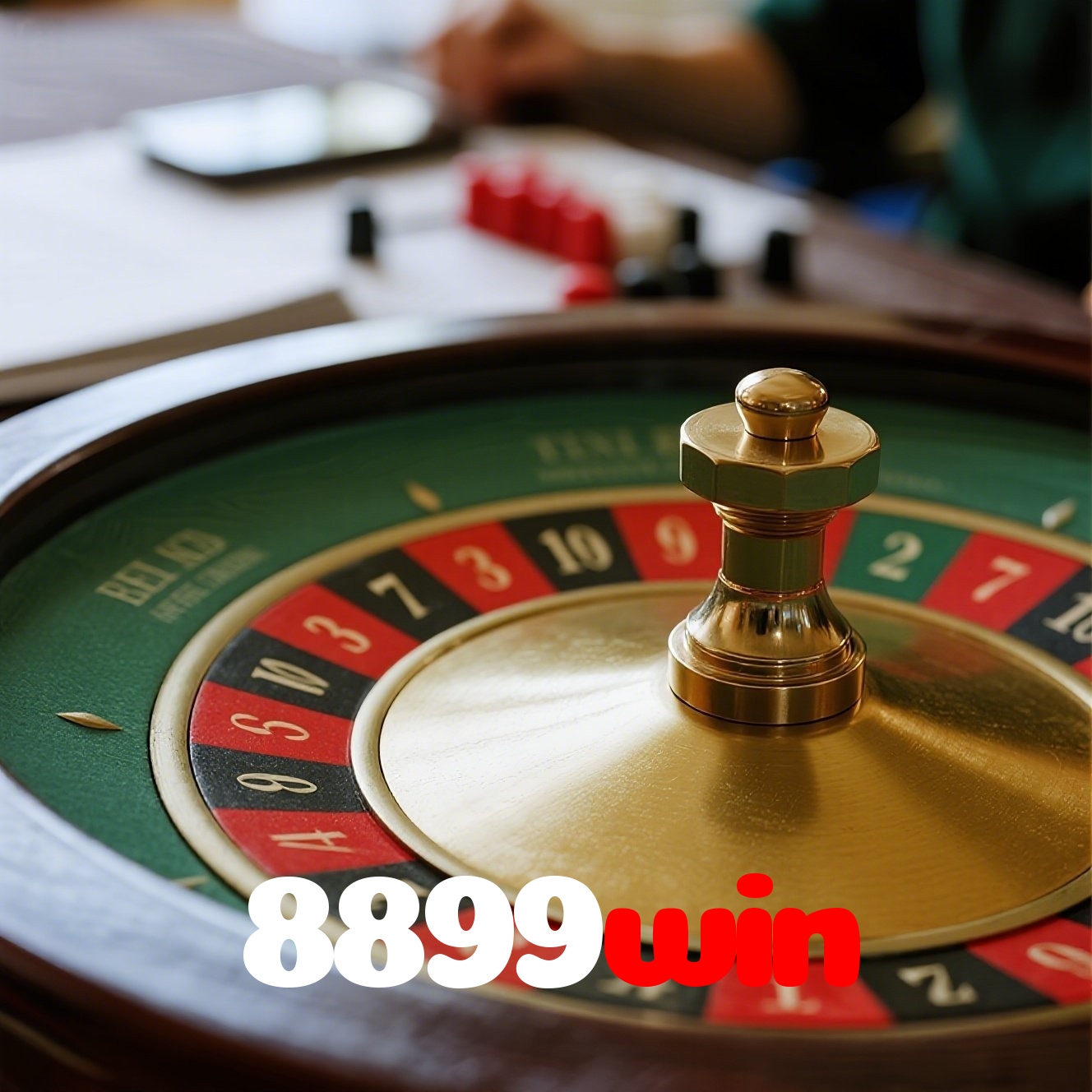 8899win visual