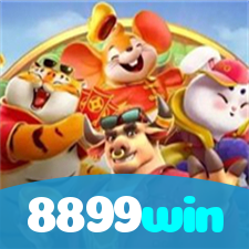 8899win visual