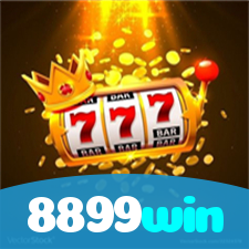8899win visual