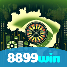 8899win visual