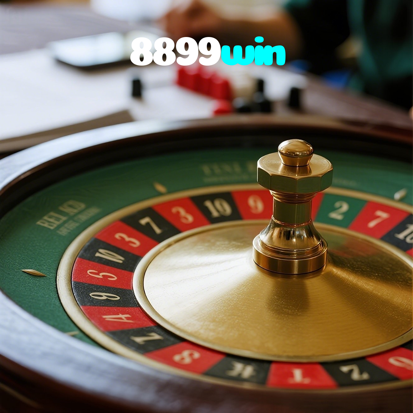 8899win visual