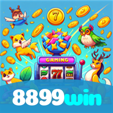 8899win visual
