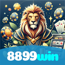 8899win visual