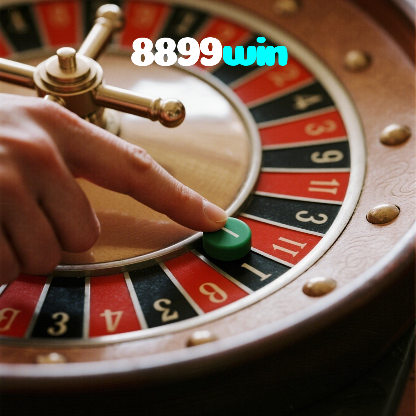 8899win visual