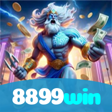 8899win visual