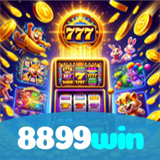 8899win visual