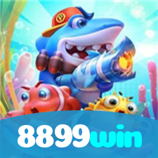 8899win visual