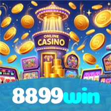 8899win visual