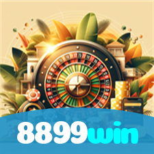 8899win visual