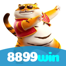 8899win visual