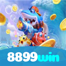 8899win visual
