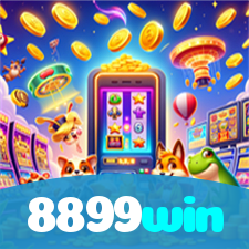 8899win visual