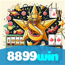 8899win visual