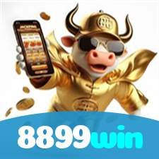8899win visual