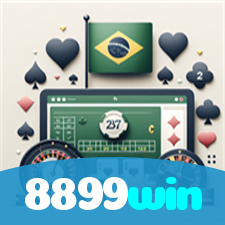 8899win visual