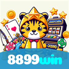 8899win visual
