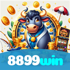 8899win visual