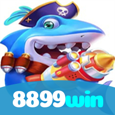 8899win visual